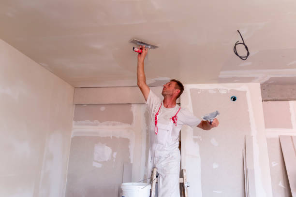 Trusted Buhl, MN Dry wall and painting Experts